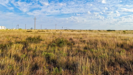 200.38+/- Acre CRP Tract in Hockley County - image 19