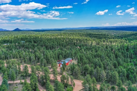 Mountain Retreat Bordering National Forest - image 38