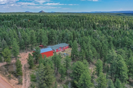 Mountain Retreat Bordering National Forest - image 40