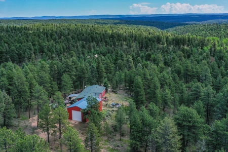 Mountain Retreat Bordering National Forest - image 1