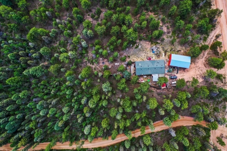 Mountain Retreat Bordering National Forest - image 42
