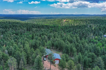 Mountain Retreat Bordering National Forest - image 41