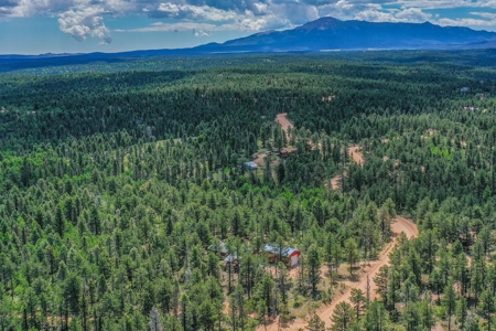 Mountain Retreat Bordering National Forest - image 5