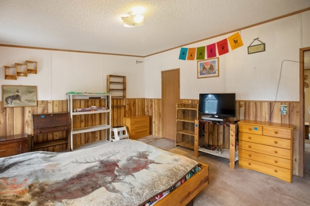 Mountain Retreat Bordering National Forest - image 35