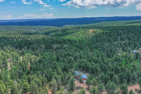 Mountain Retreat Bordering National Forest - image 39