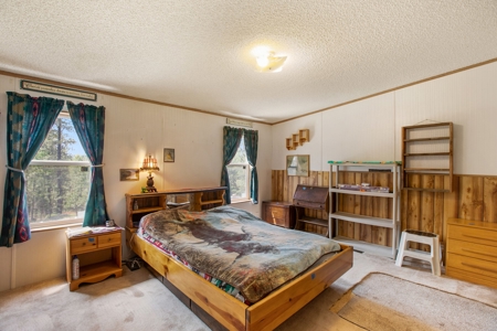 Mountain Retreat Bordering National Forest - image 32