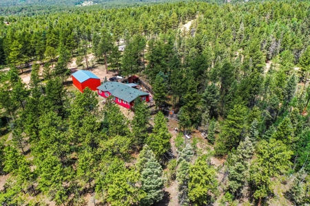 Mountain Retreat Bordering National Forest - image 10