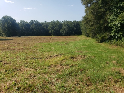 Hunting Land In Franklin Parish La For Sale - image 4