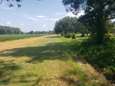 Hunting Land In Franklin Parish La For Sale - image 2