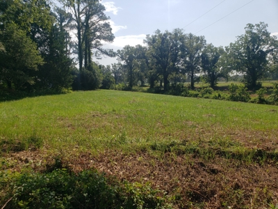 Hunting Land In Franklin Parish La For Sale - image 1