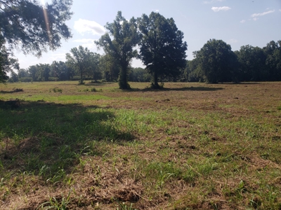 Hunting Land In Franklin Parish La For Sale - image 3
