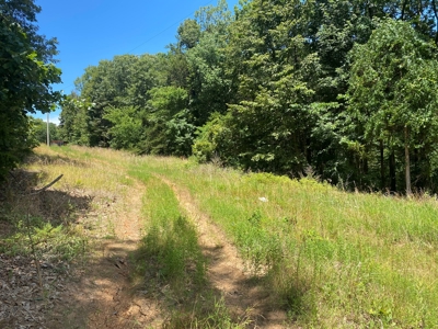 40 acre hunting and recreational property in Madison county - image 17