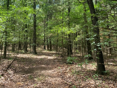 40 acre hunting and recreational property in Madison county - image 10
