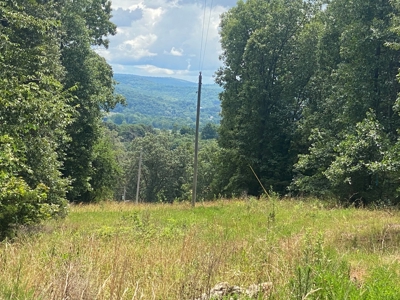 40 acre hunting and recreational property in Madison county - image 1