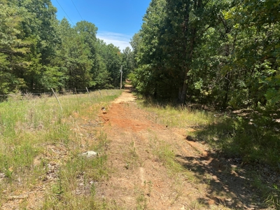 40 acre hunting and recreational property in Madison county - image 16