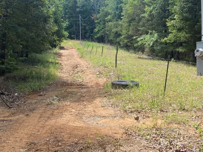 40 acre hunting and recreational property in Madison county - image 2