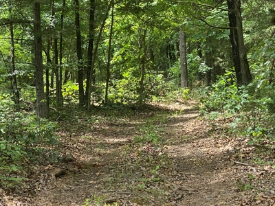 40 acre hunting and recreational property in Madison county - image 11