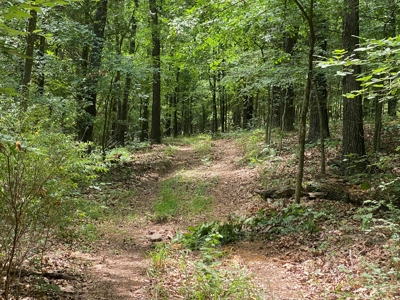 40 acre hunting and recreational property in Madison county - image 14