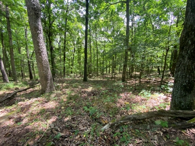 40 acre hunting and recreational property in Madison county - image 5