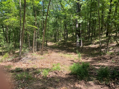 40 acre hunting and recreational property in Madison county - image 7