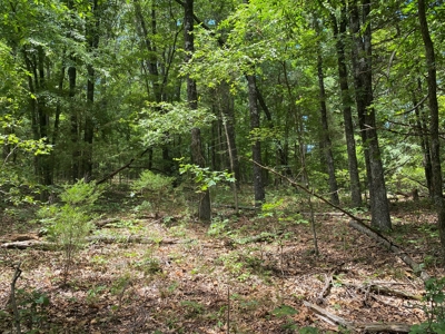 40 acre hunting and recreational property in Madison county - image 15