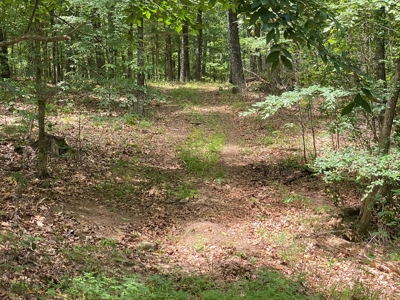 40 acre hunting and recreational property in Madison county - image 12