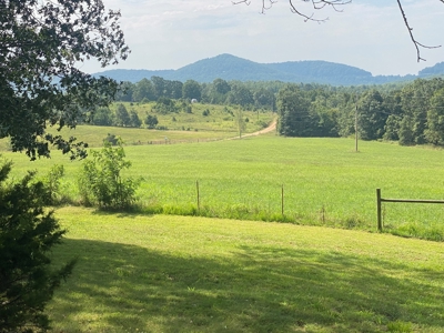 Beautiful 97 acre Mountaintop Property For Sale - image 7