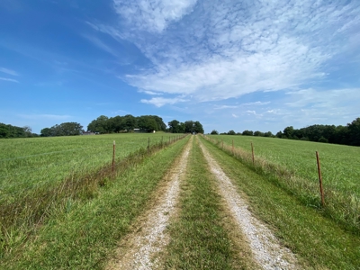 Beautiful 97 acre Mountaintop Property For Sale - image 11