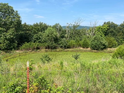 Beautiful 97 acre Mountaintop Property For Sale - image 14