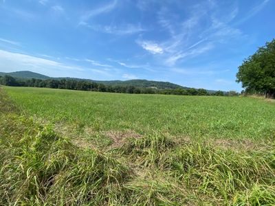 Beautiful 97 acre Mountaintop Property For Sale - image 10