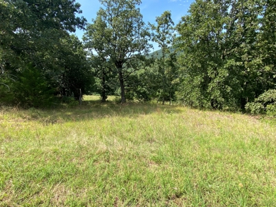 Beautiful 97 acre Mountaintop Property For Sale - image 15