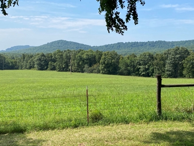 Beautiful 97 acre Mountaintop Property For Sale - image 4