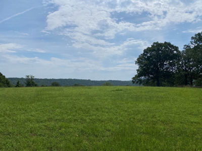 Beautiful 97 acre Mountaintop Property For Sale - image 9