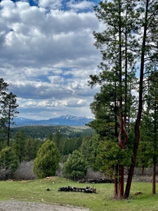 Chama New Mexico Mountain Log Homes for Sale with Acreage - image 14