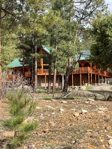 Chama New Mexico Mountain Log Homes for Sale with Acreage - image 34