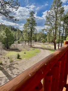 Chama New Mexico Mountain Log Homes for Sale with Acreage - image 38