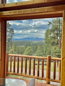 Chama New Mexico Mountain Log Homes for Sale with Acreage - image 17