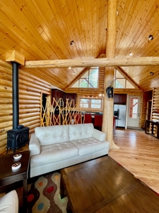 Chama New Mexico Mountain Log Homes for Sale with Acreage - image 30