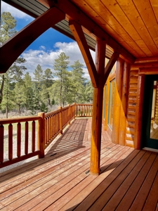 Chama New Mexico Mountain Log Homes for Sale with Acreage - image 37