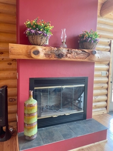 Chama New Mexico Mountain Log Homes for Sale with Acreage - image 12