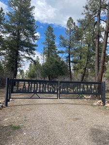 Chama New Mexico Mountain Log Homes for Sale with Acreage - image 6