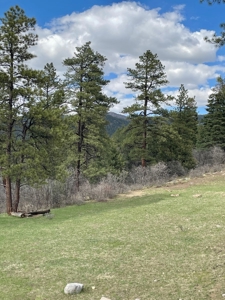 Chama New Mexico Mountain Log Homes for Sale with Acreage - image 15