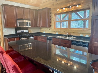 Chama New Mexico Mountain Log Homes for Sale with Acreage - image 4