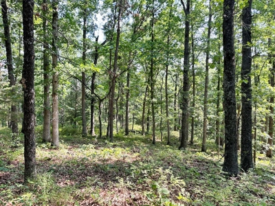 St. Clair County Missouri County Home and Land for Sale - image 46