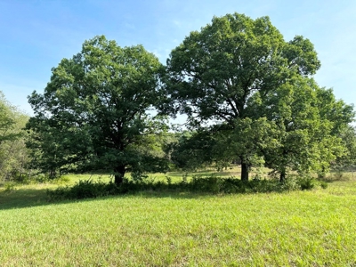 St. Clair County Missouri County Home and Land for Sale - image 44