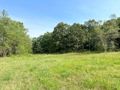 St. Clair County Missouri County Home and Land for Sale - image 45