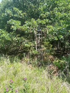St. Clair County Missouri County Home and Land for Sale - image 48