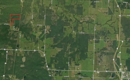 St. Clair County Missouri County Home and Land for Sale - image 7