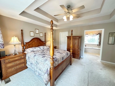St. Clair County Missouri County Home and Land for Sale - image 28