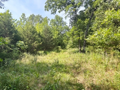 St. Clair County Missouri County Home and Land for Sale - image 49